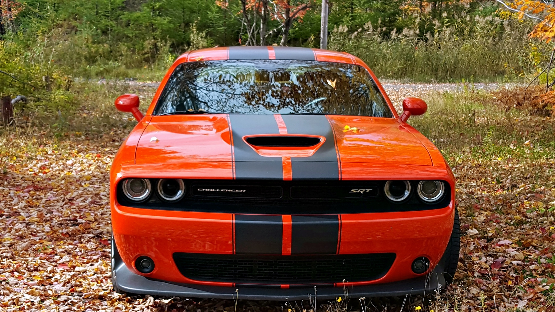 dodge-challenger005
