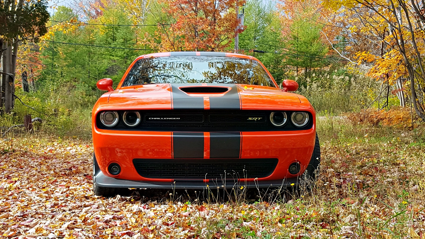 dodge-challenger006