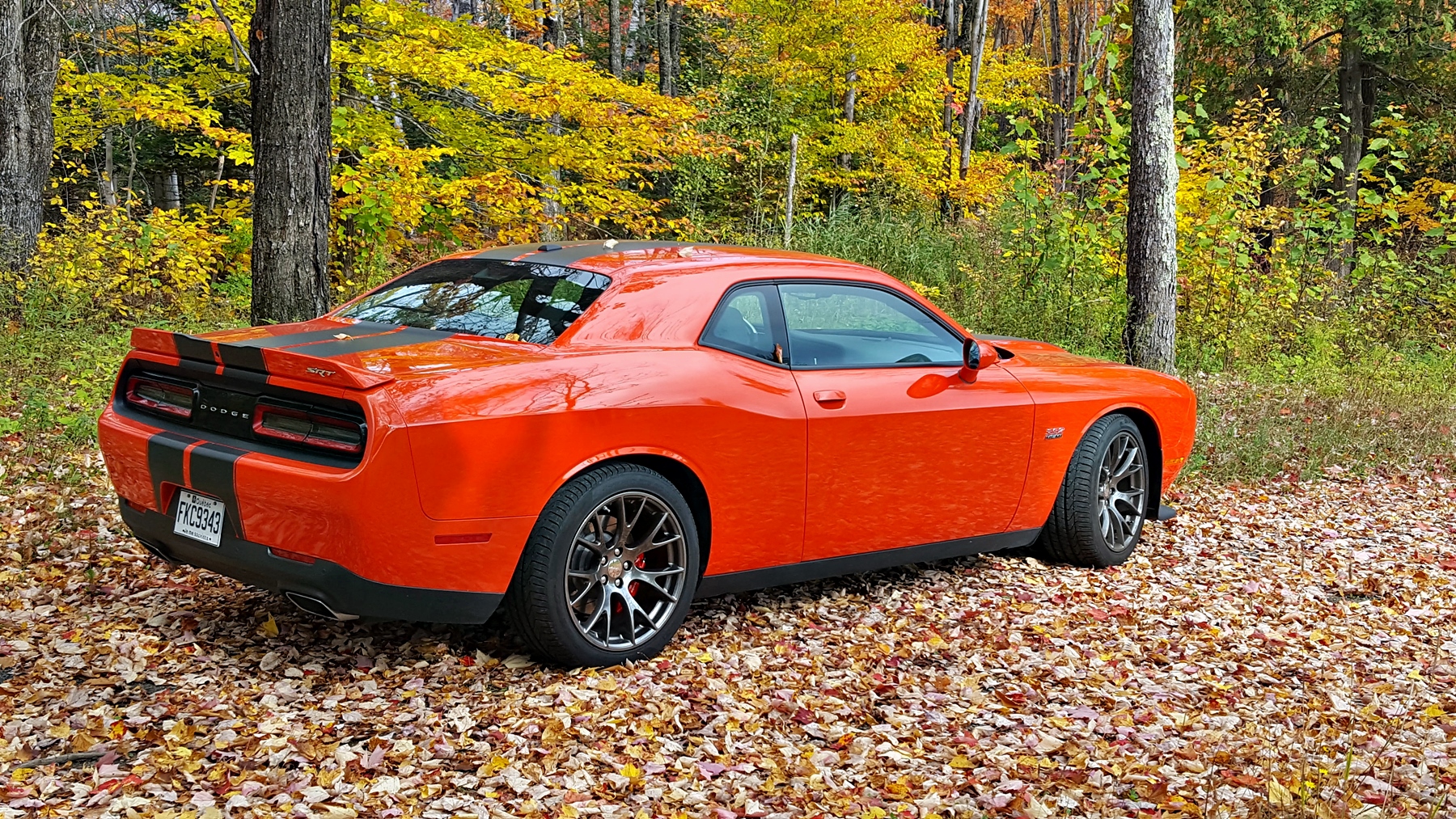 dodge-challenger012