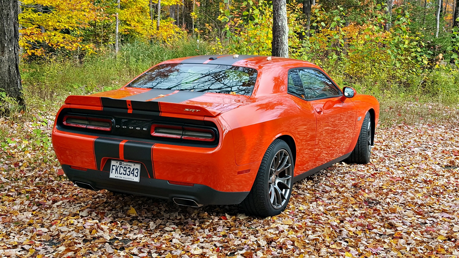 dodge-challenger013