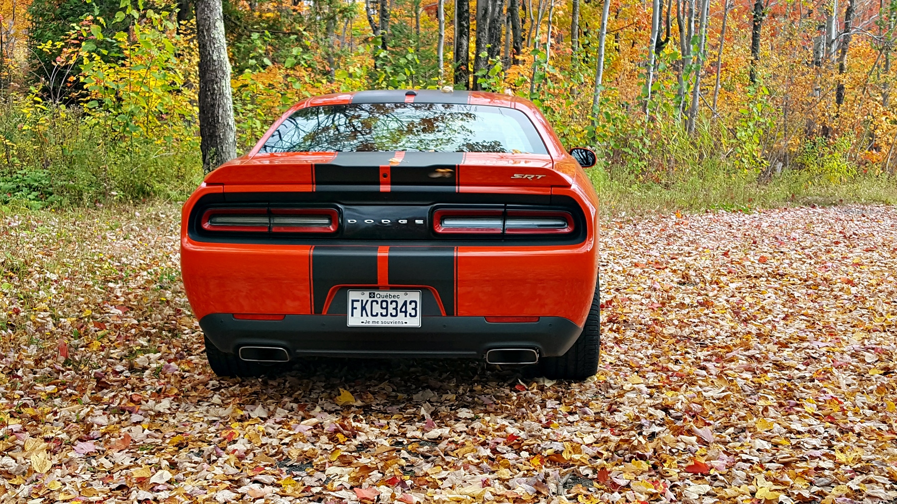 dodge-challenger014