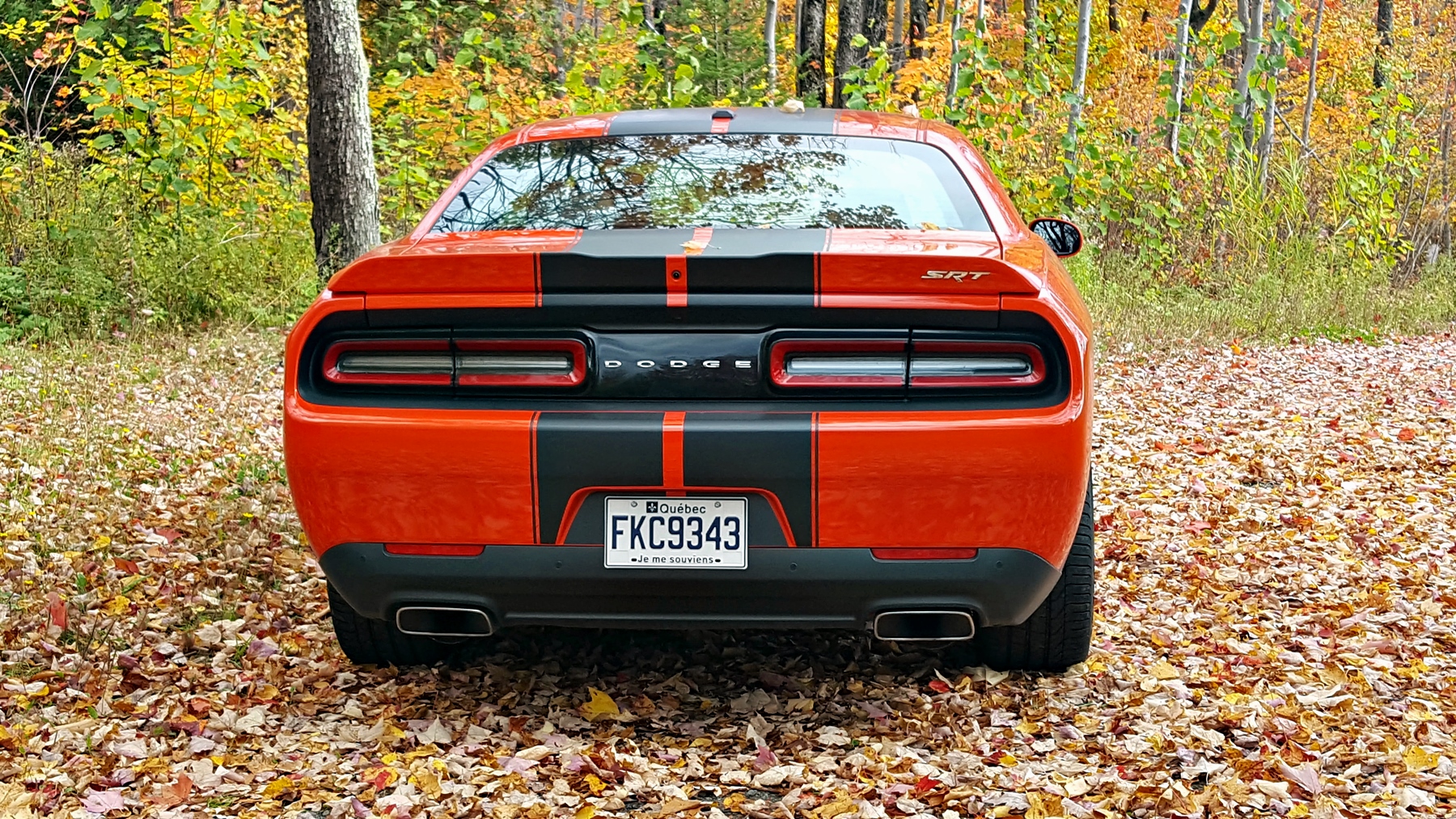 dodge-challenger015