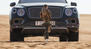 Le Bentley Bentayga se met à la fauconnerie