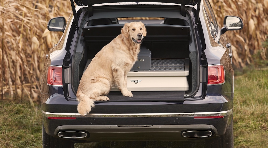 Bentley Bentayga Field Sports by Mulliner 2018-8