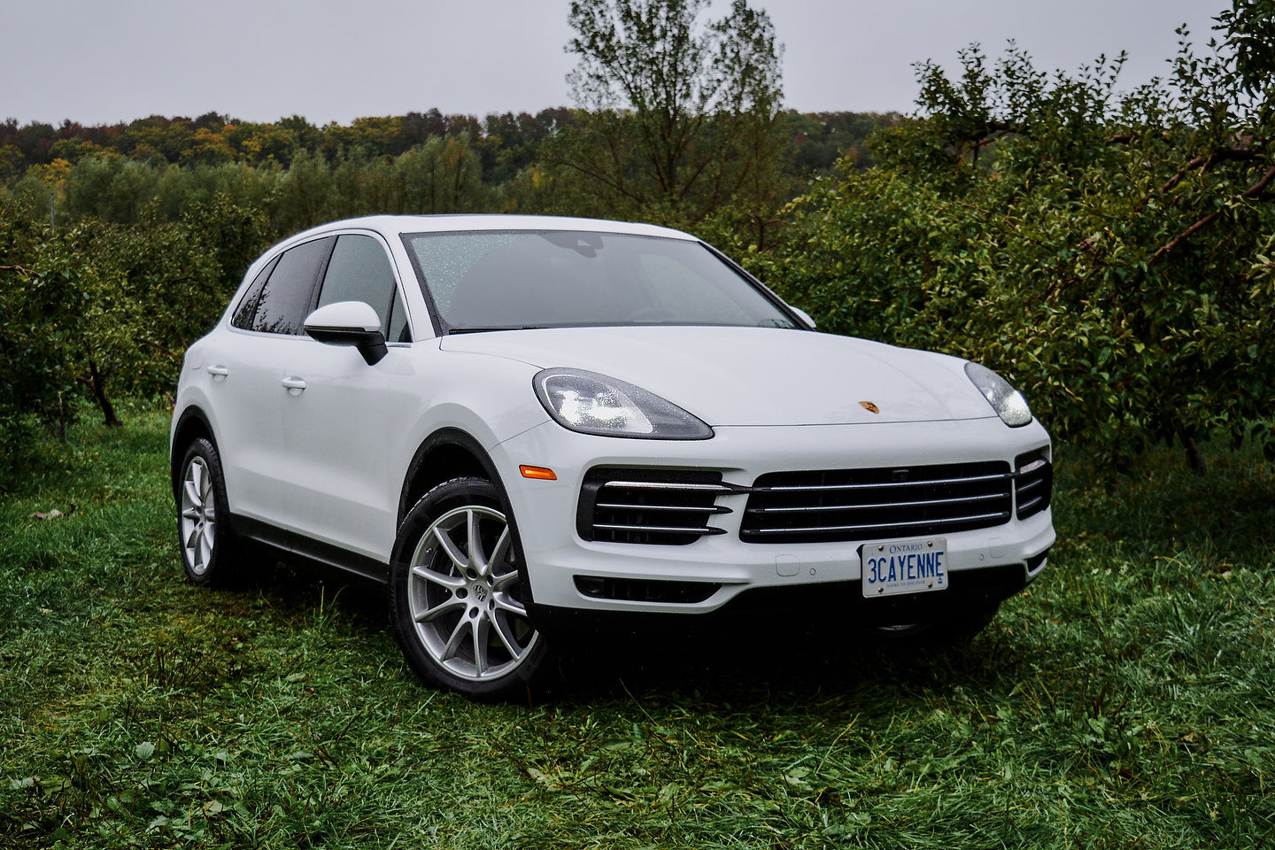 2019 Porsche Cayenne