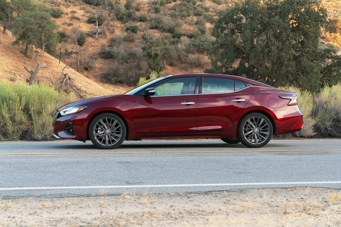 2019 Nissan Maxima | Photo: Nissan
