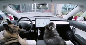 Les modes « Chien » et « Sentinelle » dévoilés par Tesla
