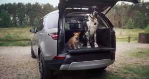 Land Rover introduit des ensembles d’accessoires conçus pour les chiens